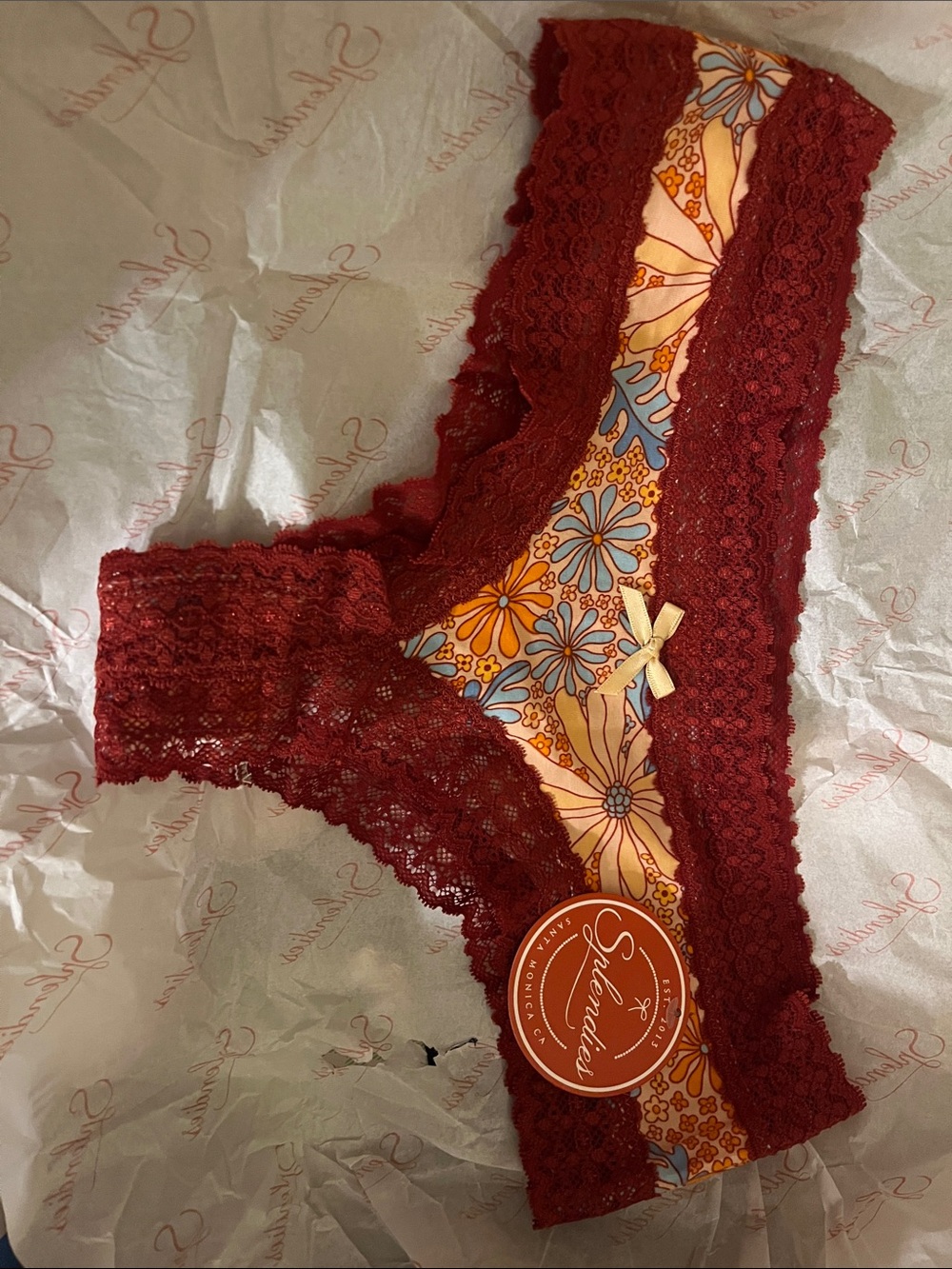 SheerLace Floral Bikini Panty with Burgundy Lace Trim